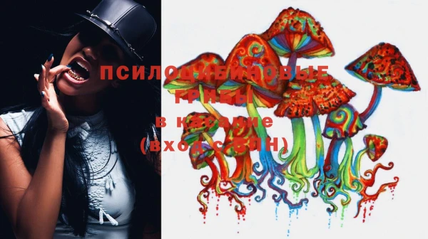 дживик Михайлов