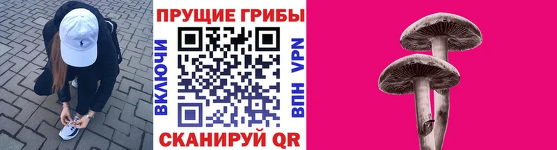 Псилоцибиновые грибы MAGIC MUSHROOMS  Купить закладки  Феодосия 
